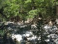 IMG_2164 - Copy